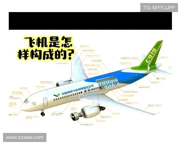 飞机机身结构的复合维修